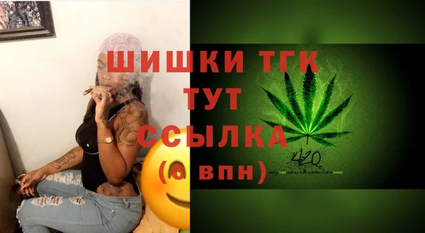 дмт Медвежьегорск