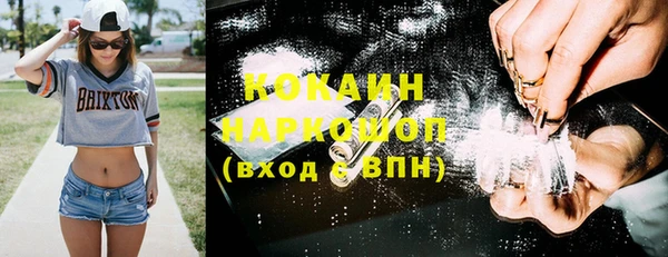 дмт Медвежьегорск