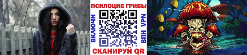 Псилоцибиновые грибы прущие грибы  omg как зайти  Сысерть 